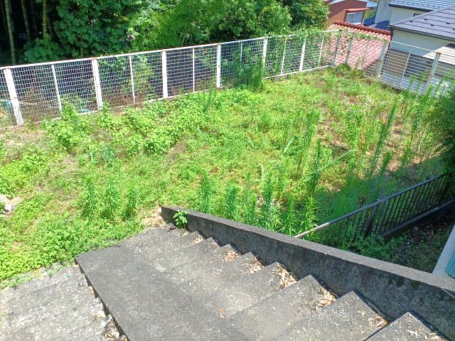 油平 売地　◇緑に囲まれた閑静な住宅地◇のその他