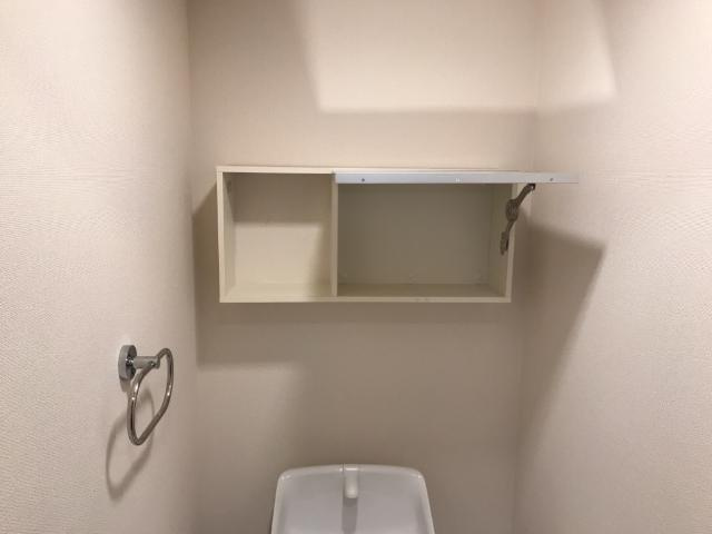 【設備】サンセベリアⅢ