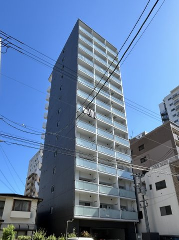 SO.YO.GO（ソヨゴ）の画像
