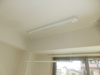 【その他】UMWELT　BILD　ZWEI 