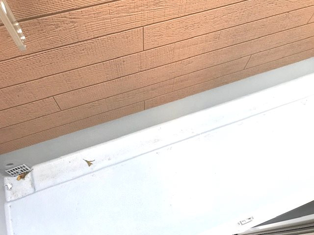 同シリーズの写真となります。