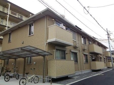 パイン　コートの画像