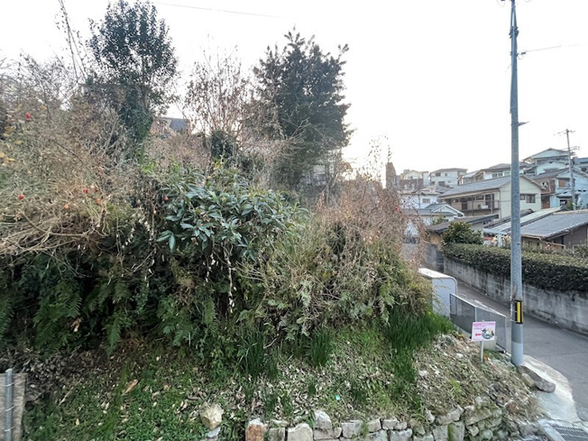 【展望】イリス堀越