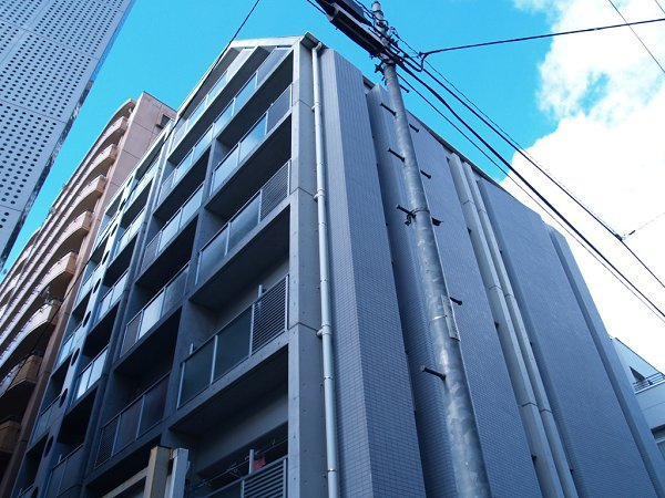 ドルフ・TSの画像