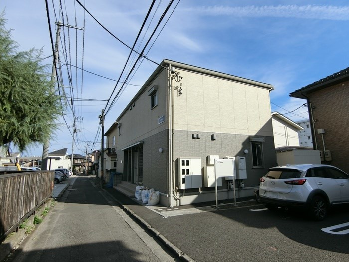 グレイシャスの画像