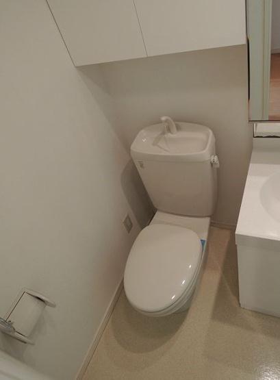 同タイプの写真です。