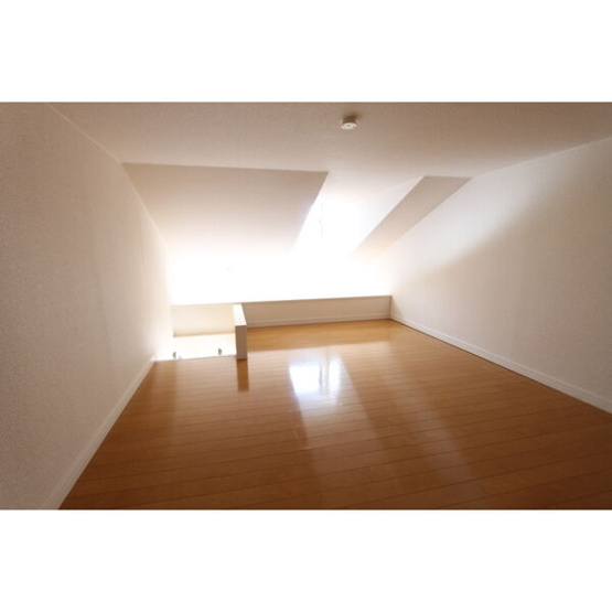 同タイプの写真です。