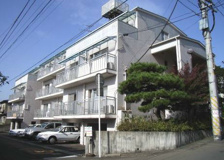 アペールしいなの画像