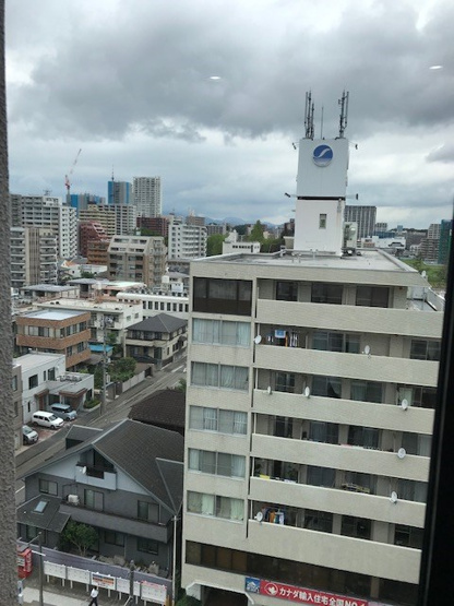 参考写真