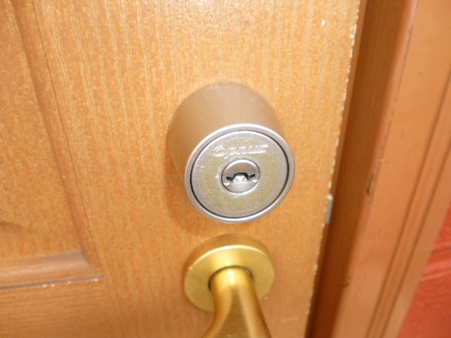 メープルピュアのセキュリティ|オプナスキー