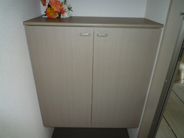 セジュールＴ＆Ｋの内装|シューズボックス