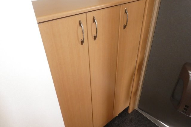 アベニール弐番館の内装|シューズボックス