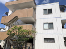 アンジェリーナの画像