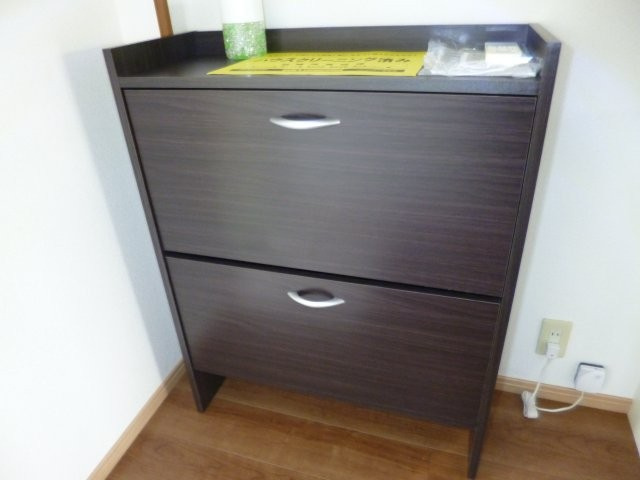 サンハイツたなかの内装|シューズボックス