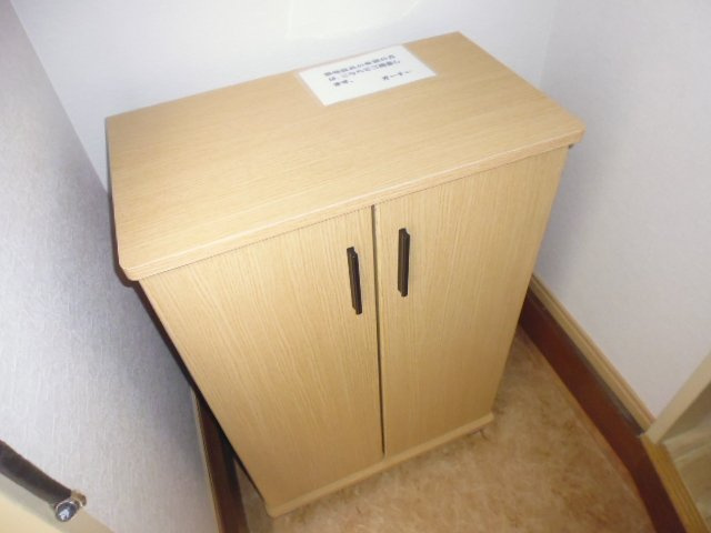 グリーンハイツ塩津　メゾネットの内装|シューズボックス