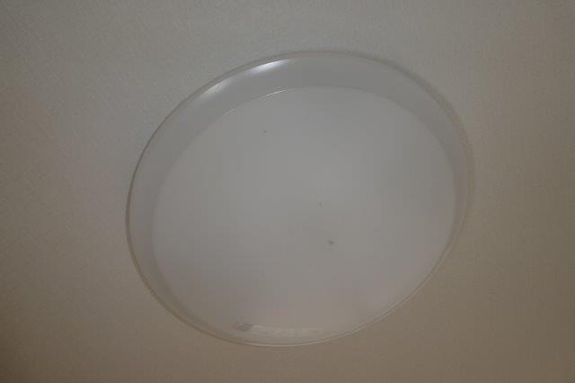 グリーンハイツ塩津　メゾネットの設備|照明