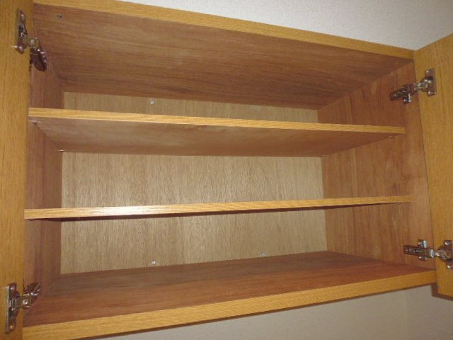 アプランドルⅣの玄関|シューズボックス上