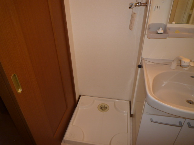 ロイヤルガーデンミルフィーＢのその他|洗濯機置き場