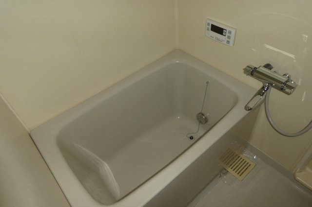 ヴィーブルピアの浴室