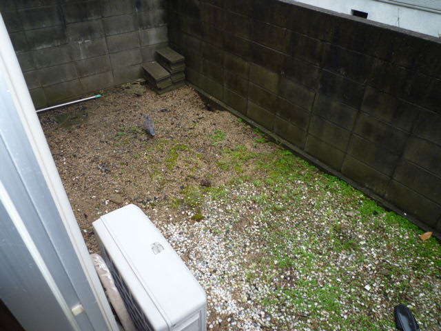 ハイツあかねＢの庭|専用庭