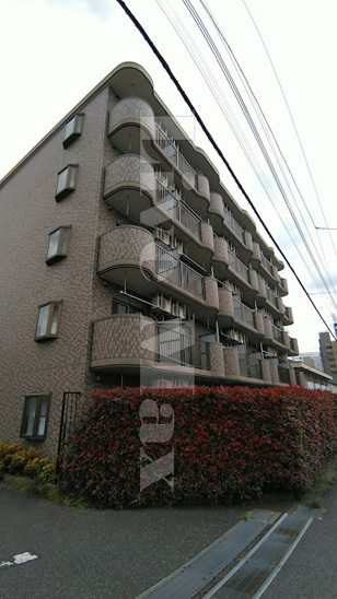 【外観】Nasic柏 