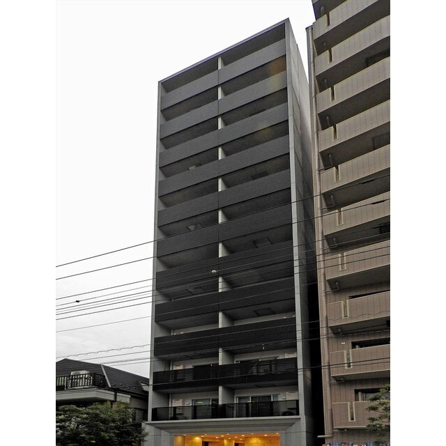 セルビシエ白金の画像