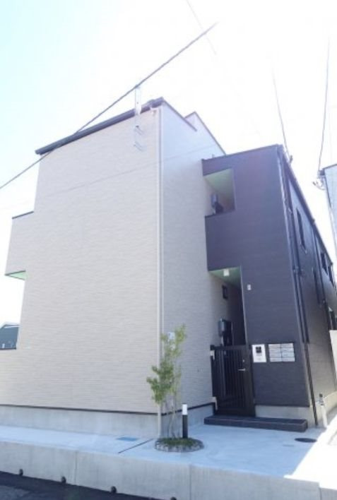 Alstroemeriaの画像
