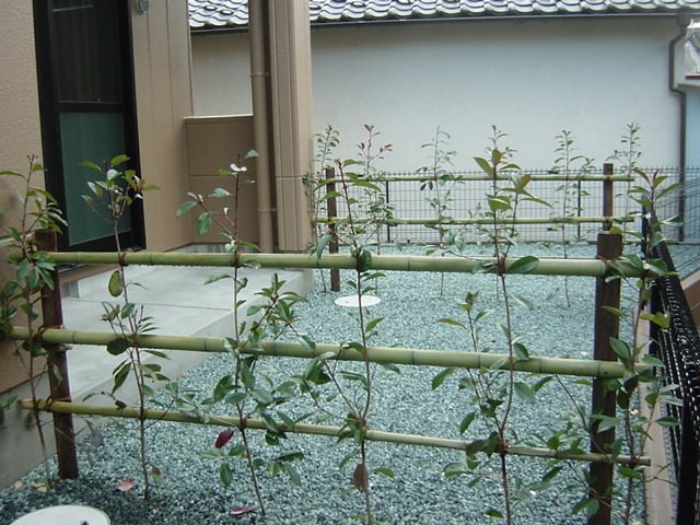 【バルコニー】プロニティ・N