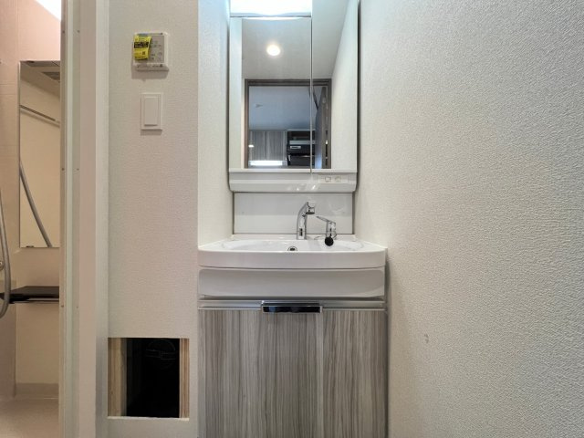 プレサンス大国町ブライスの独立洗面台