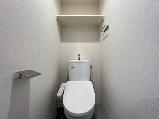 プレサンス大国町ブライスのトイレ