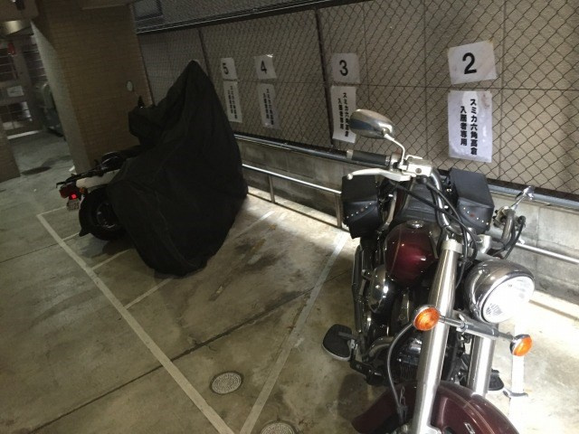 【その他】