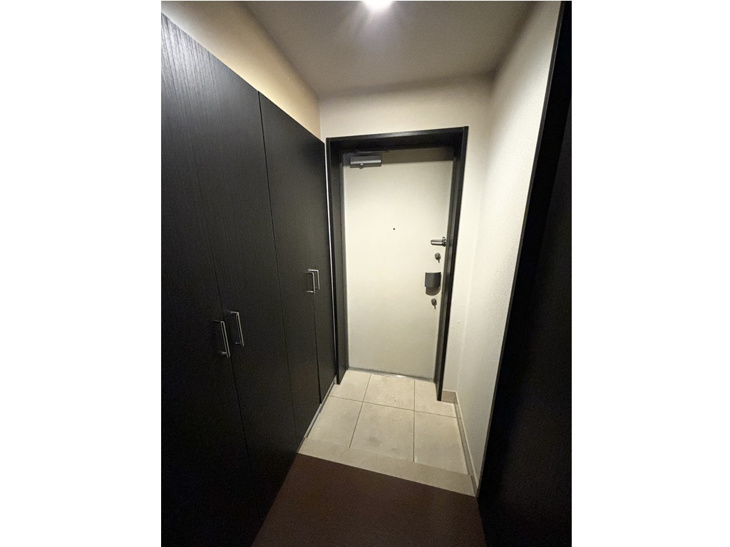 【玄関】ドルチェ銀座東壱番館 