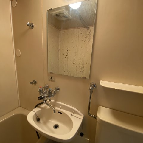 橋本ハイツの洗面所|広い洗面スペース