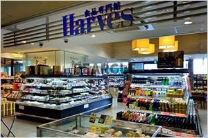 【周辺】 | COLLEAGUE