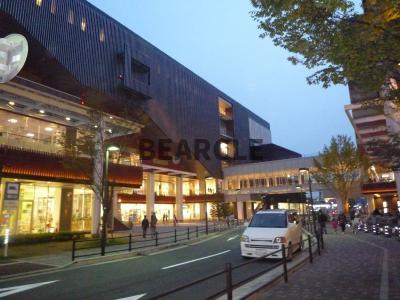 【展望】 | COLLEAGUE