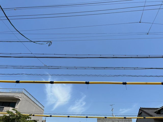 仲介手数料！！Regalest A.K.II16名城公園の展望