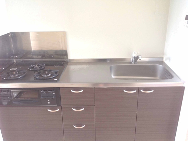 レオネクストミントのキッチン