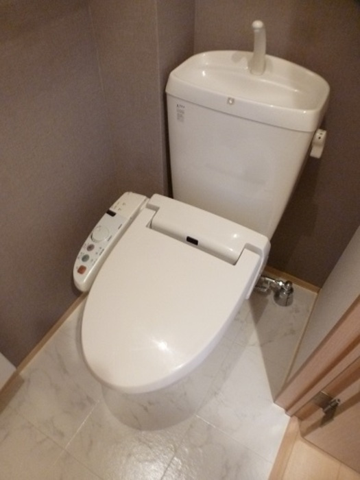 アクシス南大塚のトイレ