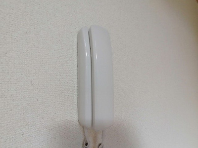 【その他】 | レオパレスＳｏｕｔｈＣｏｕｒｔ