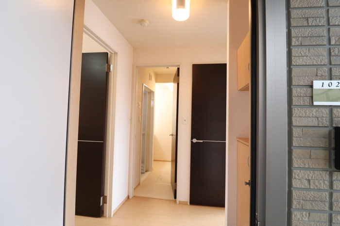 熊本市南区白藤４丁目のアパートの玄関