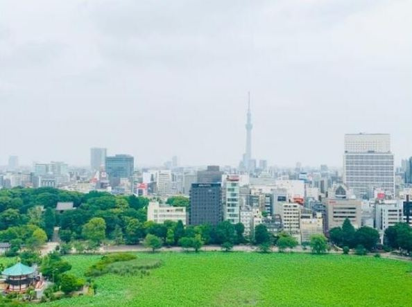 台東区池之端１丁目の賃貸マンションのその他|眺望
