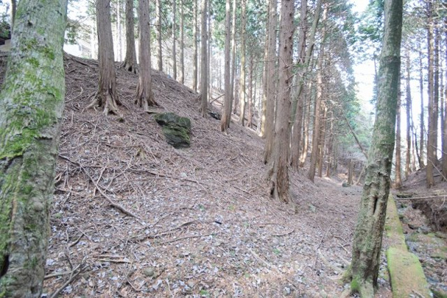 【外観】 | 東急天城高原別荘地　売地