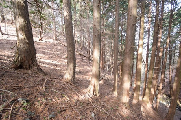 【外観】 | 東急天城高原別荘地　売地