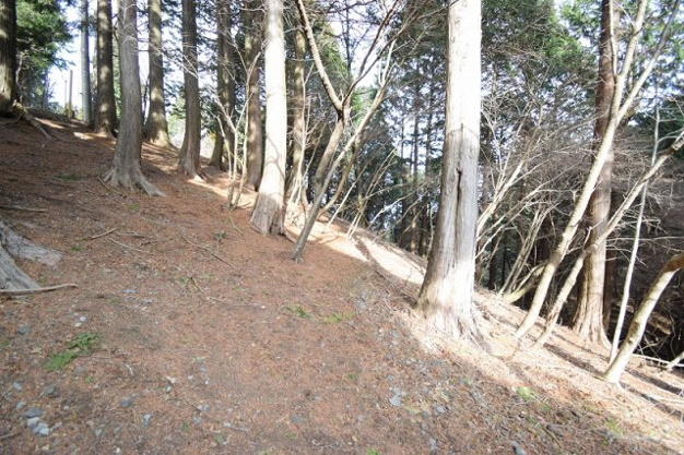 【外観】 | 東急天城高原別荘地　売地