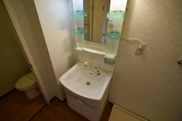 手塚グリーンハイツの洗面所|シャンプードレッサー付