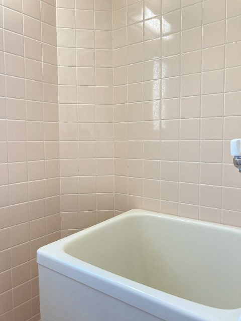 コーポラスシルバーの浴室