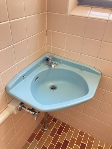 コーポラスシルバーの洗面所