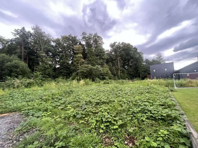 川越市笠幡　建築条件なし売地　JR川越線『笠幡駅』徒歩22分　【霞ヶ関西小学区】の外観