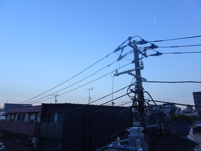 【展望】 | フォレスト中野