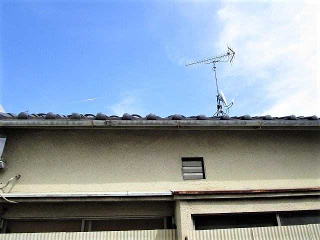 ハウスサツキの展望